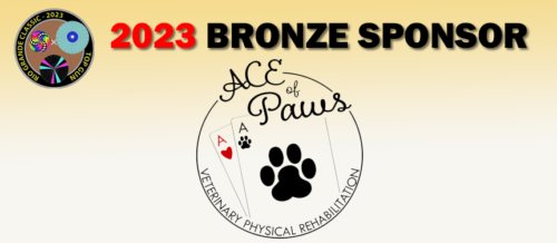 new-paws